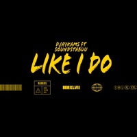 Like i do (feat. Soundstabuu) - Single - Djaykams