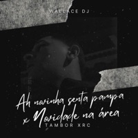 MTG AH NOVINHA SENTA PAMPA x NOVIDADE NA ÁREA - Single - Wallace DJ