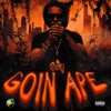 Goin Ape - Single