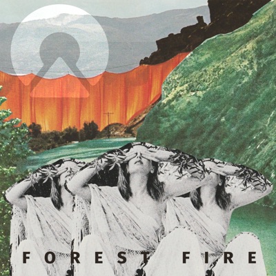 Forest Fire - Single