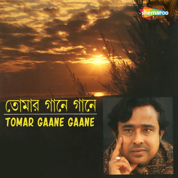 Tomar Gaane Gaane
