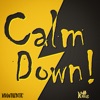 Calm Down (feat. Rittz) - Single