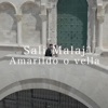 Amarildo O Vella - Single