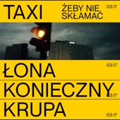 ŻEBY NIE SKŁAMAĆ artwork