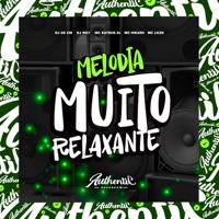 Melodia Muito Relaxante (feat. MC Hikari, Mc kateus zl & MC LKZN) - Single - DJ GS CM