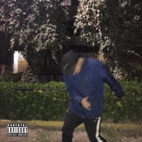 Molly (feat. Carlo Frio) - Single - Wolf707