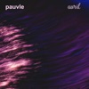 Pauvle