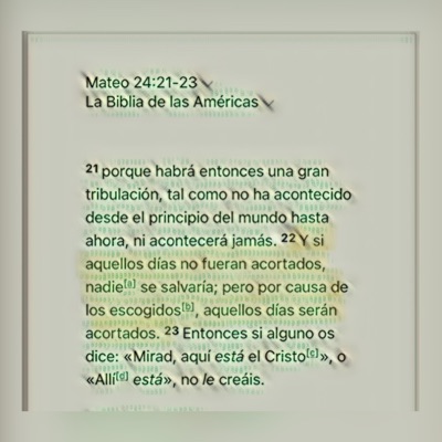 MATTHEW 24 - Single