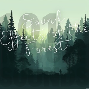 Sound Effects of the Forest