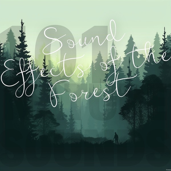 Sound Effects of the Forest