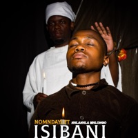 Isibani (feat. Nhlanhla Mhlongo) - Single - Nomndayi