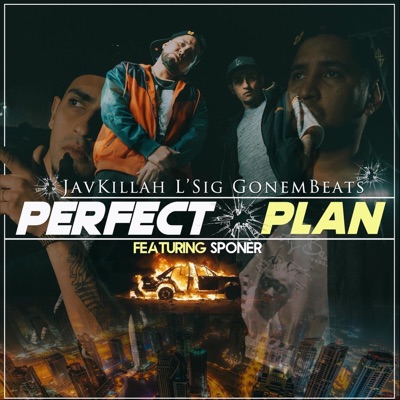 Perfect Plan (feat. Sponer) - Single