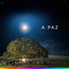 A Paz - Natal Magalu - Single