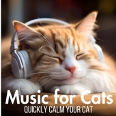 Music for Cats - Quickly Calm Your Cat artwork