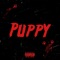 Puppy - Antionia, Zeus Stunna & Zaro Vega lyrics