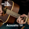 Acoustic 14 - The Worship Zone