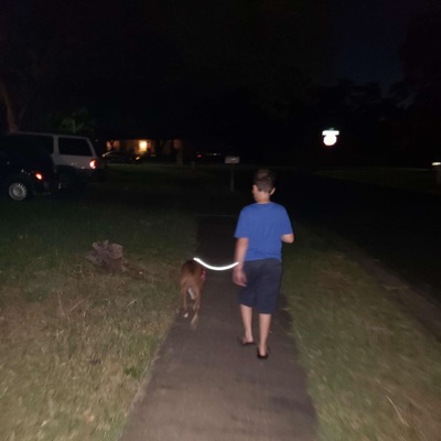 Remember the Little People - Single