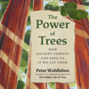 The Power of Trees - Peter Wohlleben