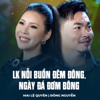LK Nỗi Buồn Đêm Đông, Ngày Đá Đơm Bông - EP - Mai Lệ Quyên & Đông Nguyễn
