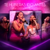 Te Hubieras Ido Antes (feat. Lita Pezo) - Single