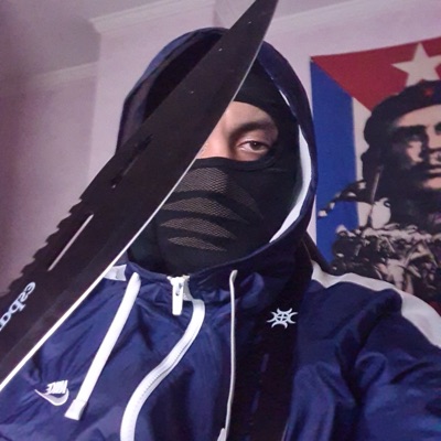 Narco drones (remix) [remix] - Single