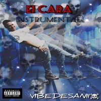 EI CARA !! INSTRUMENTAL - Single - VIBEDESANII