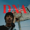 DNA - Single