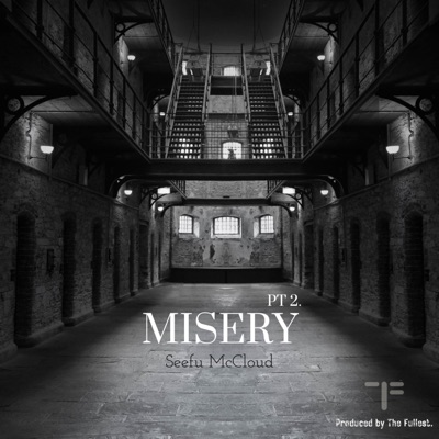MISERY PT2. (feat. The Fullest) [Radio Edit] - Single