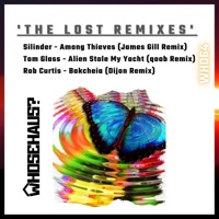 The Lost Remixes - Single - Rob Curtis, Silinder & Tom Glass