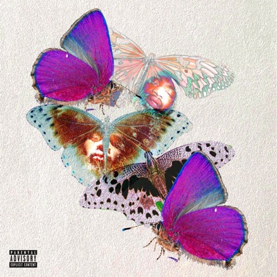 Metamorphosis