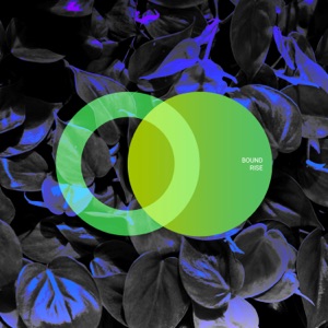 Rise - Single