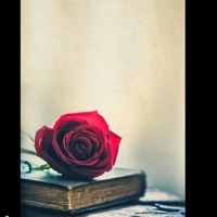 Believe me now (feat. Murdaa) - Single - FBLOCKROSE