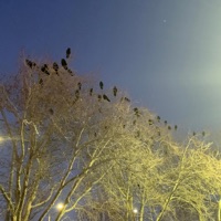 ATONE (feat. vasto) - Single - qulan.