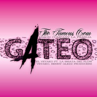 Gateo (Busco un gatito que me caliente lo mío) [feat. La 666ata del flow & Benny glez] - Single - El Veyako