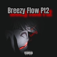 Breezy Flow PT2 - Single - rrbreezy