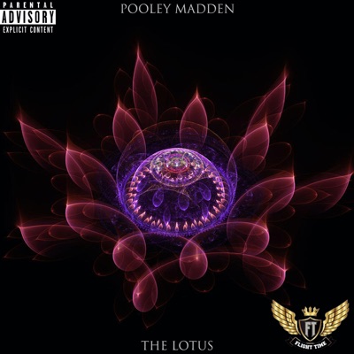 The Lotus