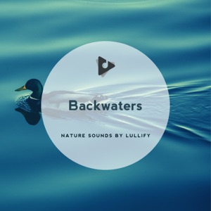 Backwaters