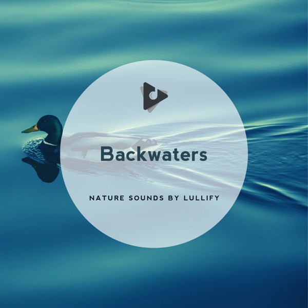 Backwaters