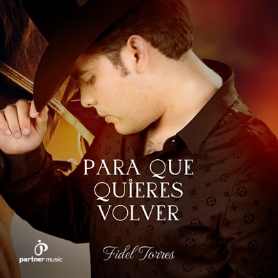 Para Qué Quieres Volver - Single