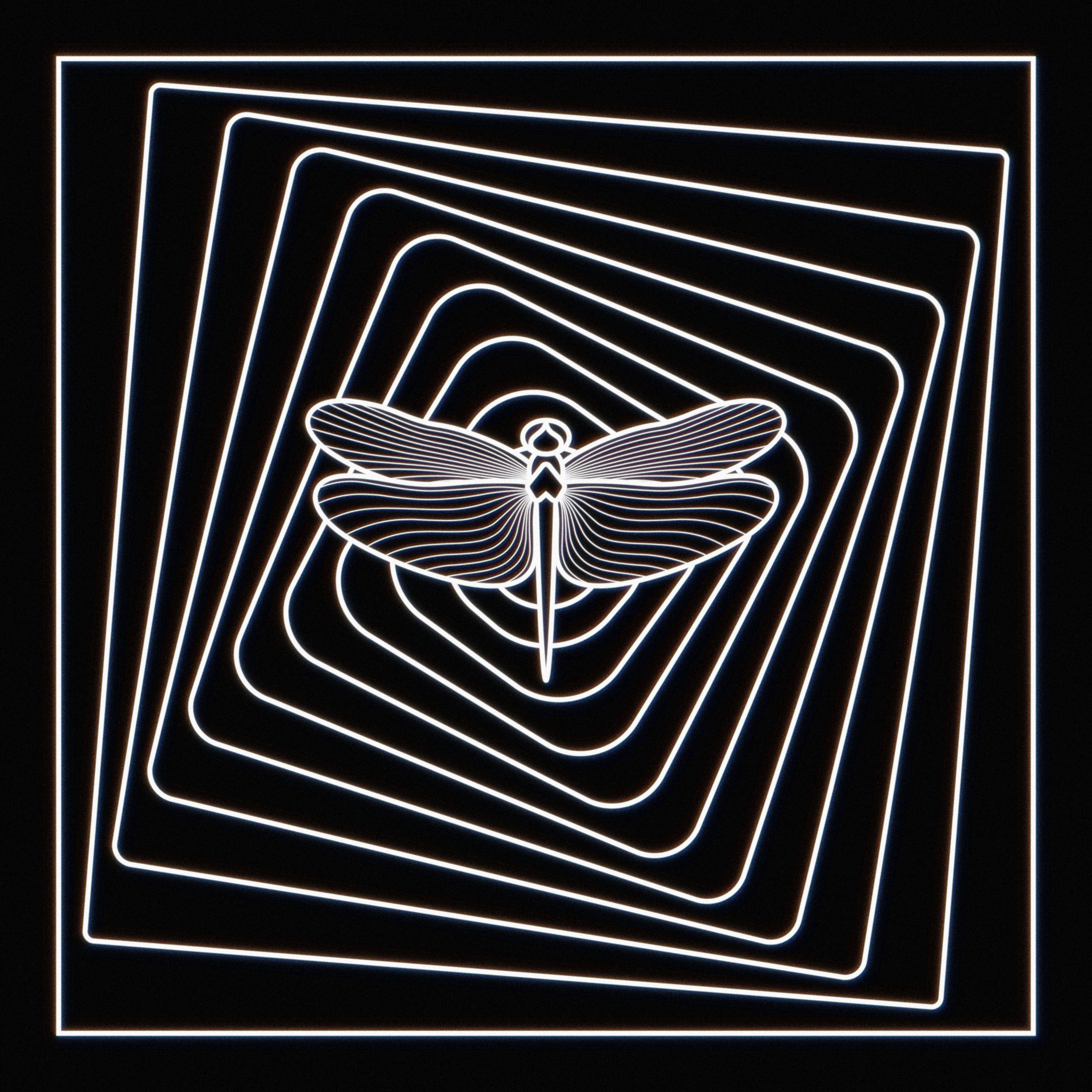 Stories from the Passenger Seat