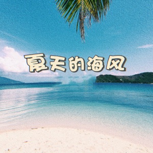 夏天的海风 - Single