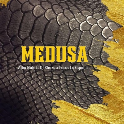 Medusa (feat. DJ Shoza & Focus La Gqomist) - Single