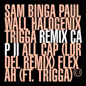 If the Cap Fits: Remixed Pt. 2 - Single