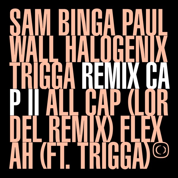 If the Cap Fits: Remixed Pt. 2 - Single