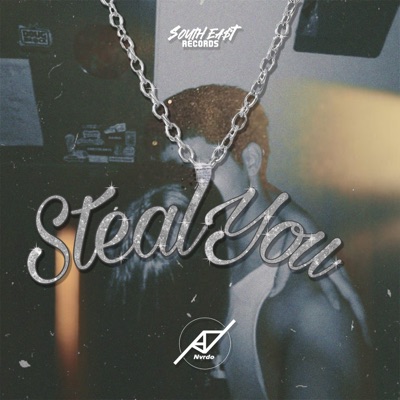 Steal You - Single