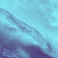 Oceans - Single - 16% SUMO