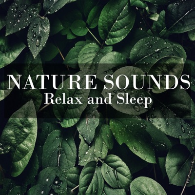 Nature Sounds for Relax and Sleep