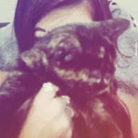 Never Had Love Like This (feat. Cip) - Single - rage!