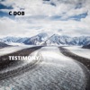 Christian Dob Testimony Testimony - Single