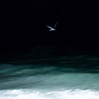 Hidden (feat. Paul Spring) - Single